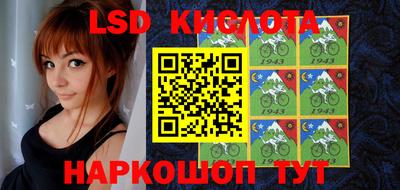 a pvp Камышлов