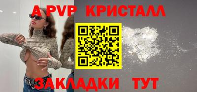 a pvp Камышлов