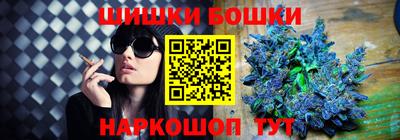 a pvp Камышлов