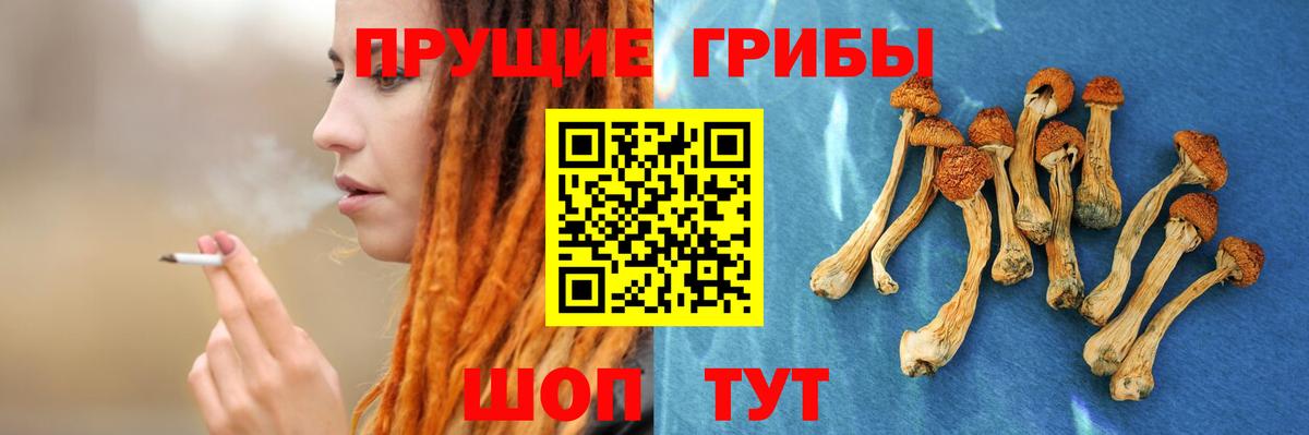 Галлюциногенные грибы MAGIC MUSHROOMS  Вход с VPN  Кингисепп 